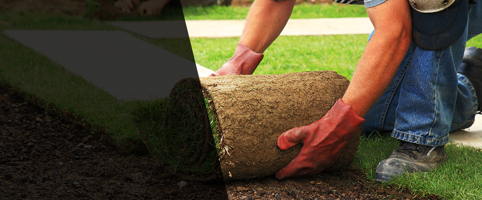 Liberty Landscapers